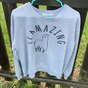 🎉LLAMAZING🎉 3/$20 Super cute sweater!